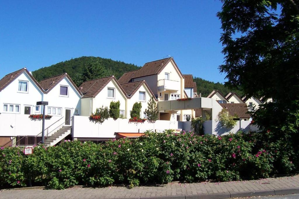 Seglerfewo Mit Traumhaftem Blick Vom Balkon Scheid  Exterior photo